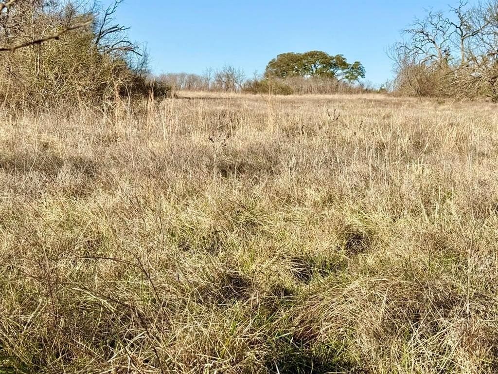 20.02 acres in Comanche County - photo 30