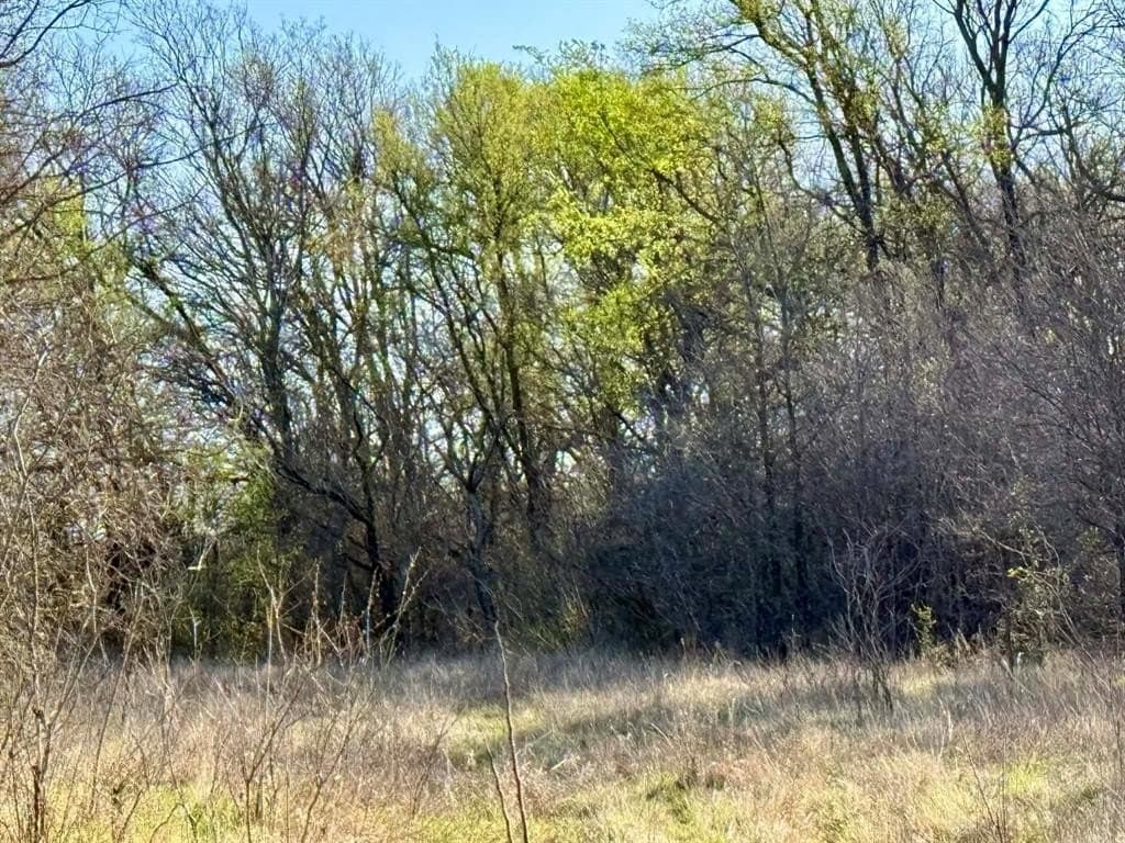 20.02 acres in Comanche County - photo 21