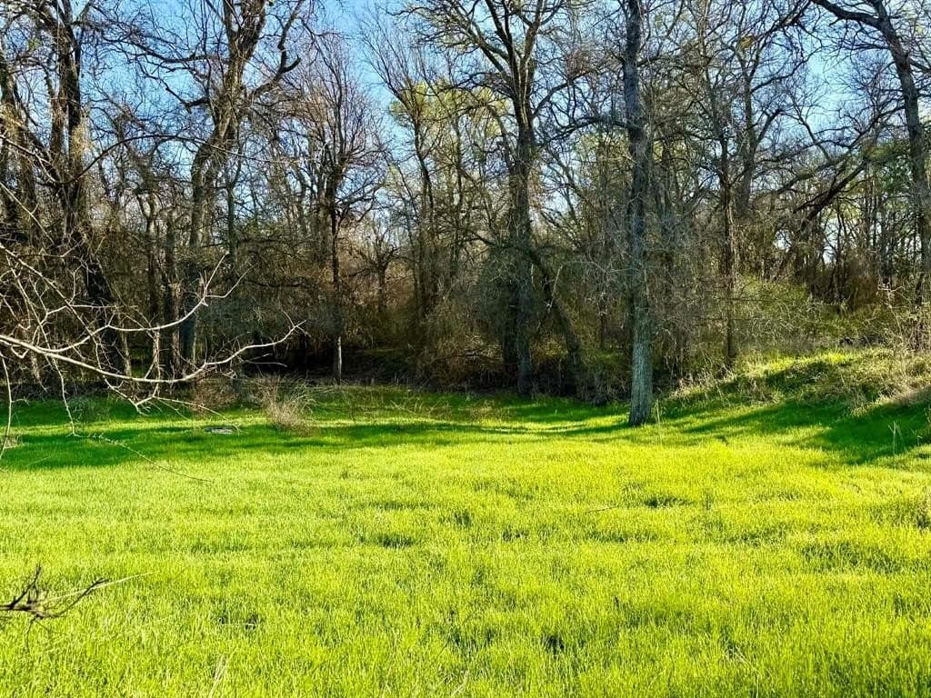 20.02 acres in Comanche County - photo 4