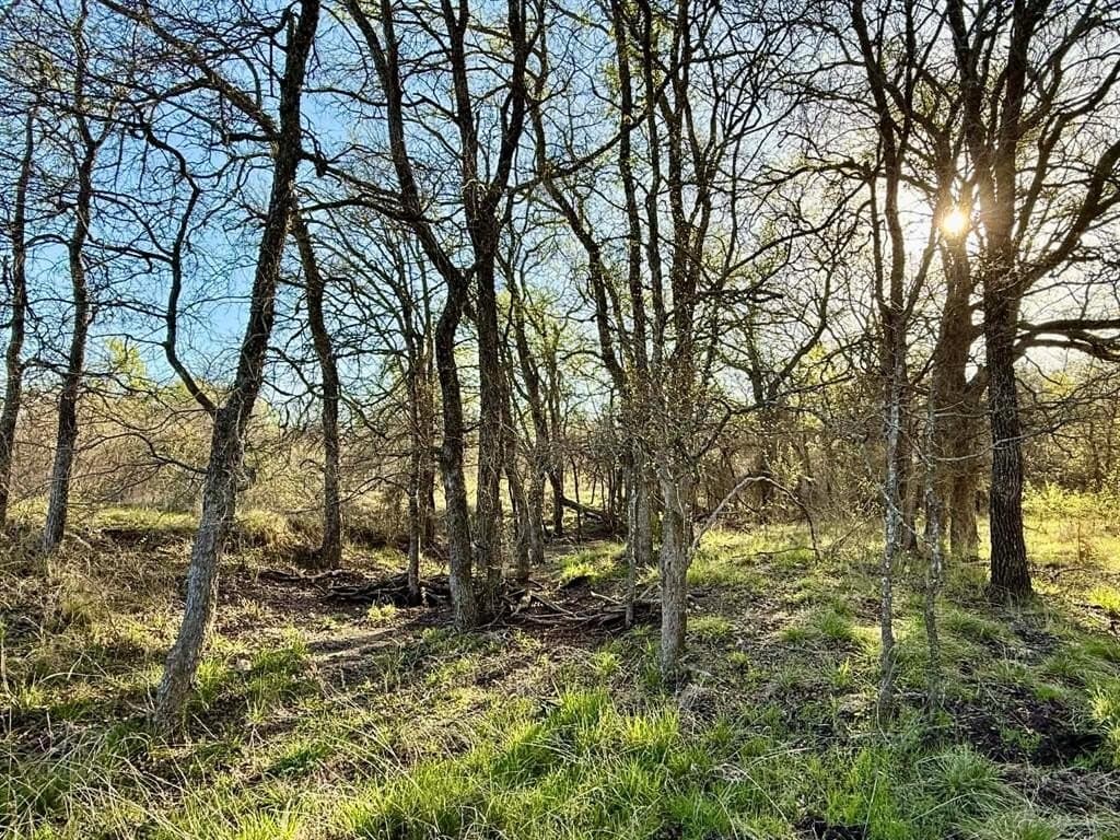 20.02 acres in Comanche County - photo 2