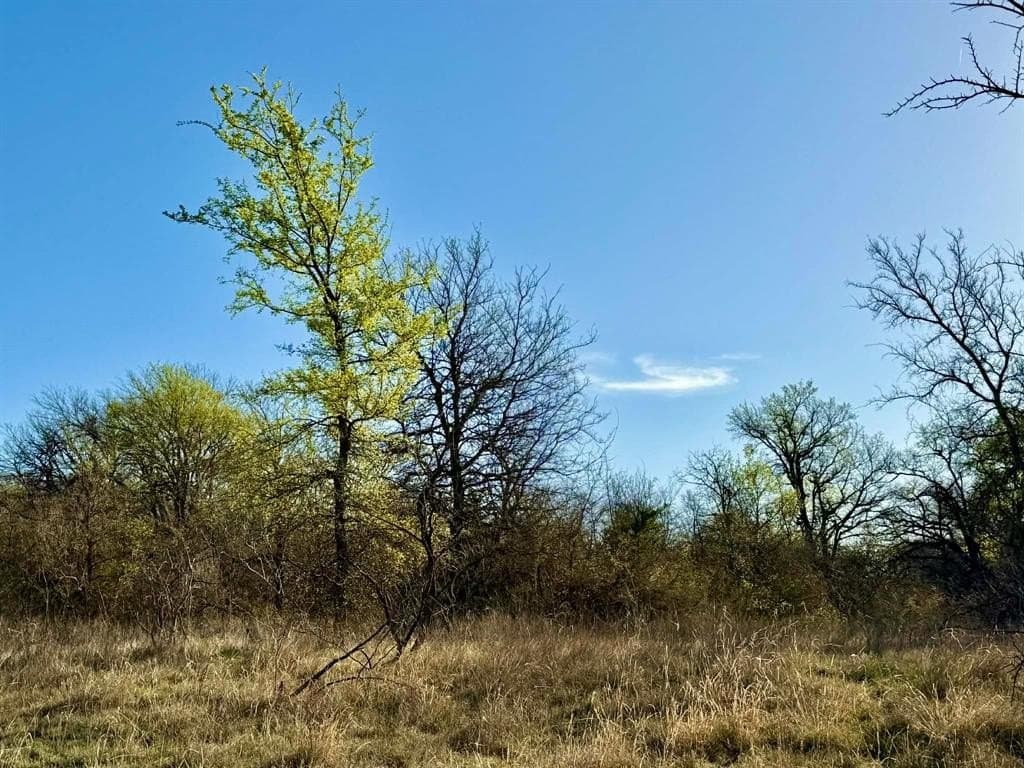 20.02 acres in Comanche County - photo 13