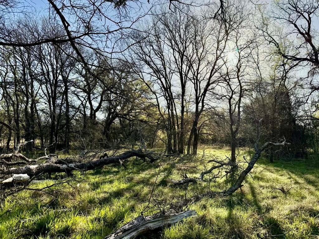20.02 acres in Comanche County - photo 35