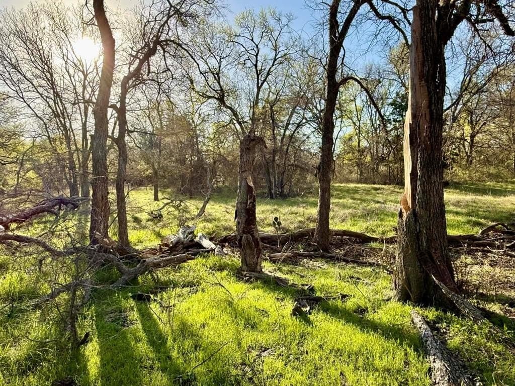 20.02 acres in Comanche County - photo 37
