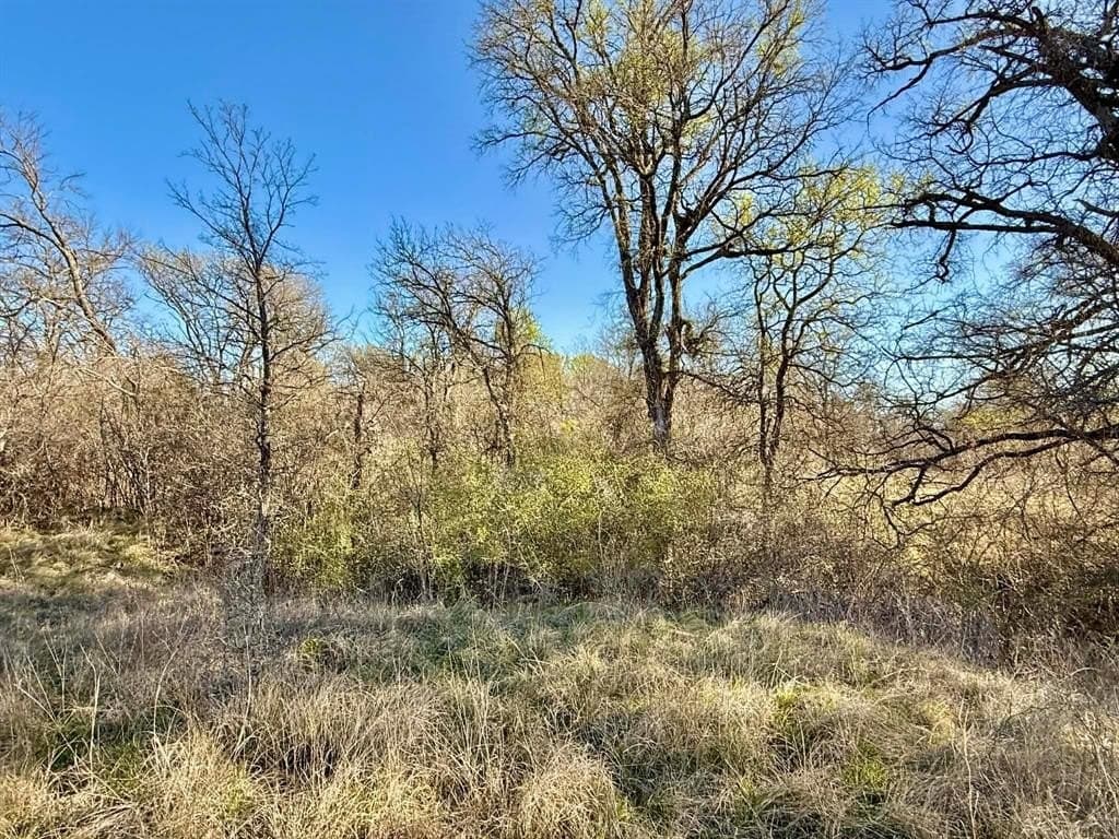 20.02 acres in Comanche County - photo 8