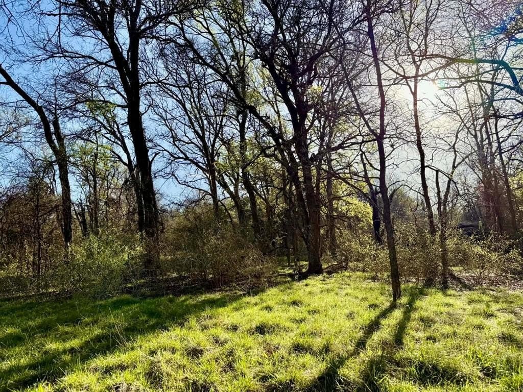 20.02 acres in Comanche County - photo 20