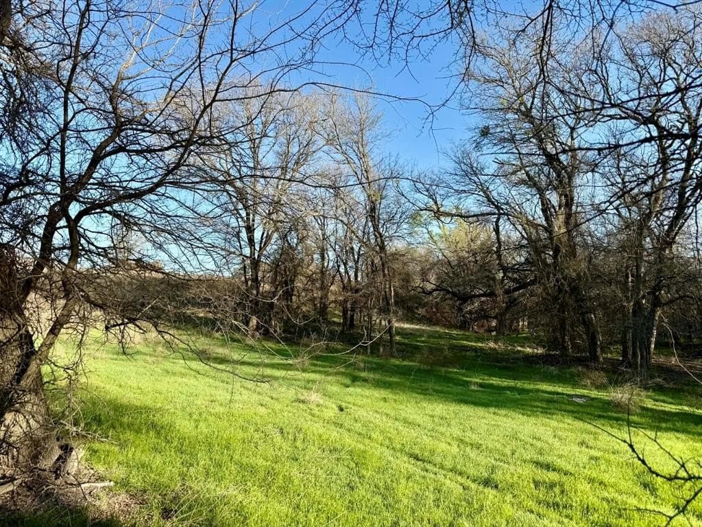 20.02 acres in Comanche County - photo 24