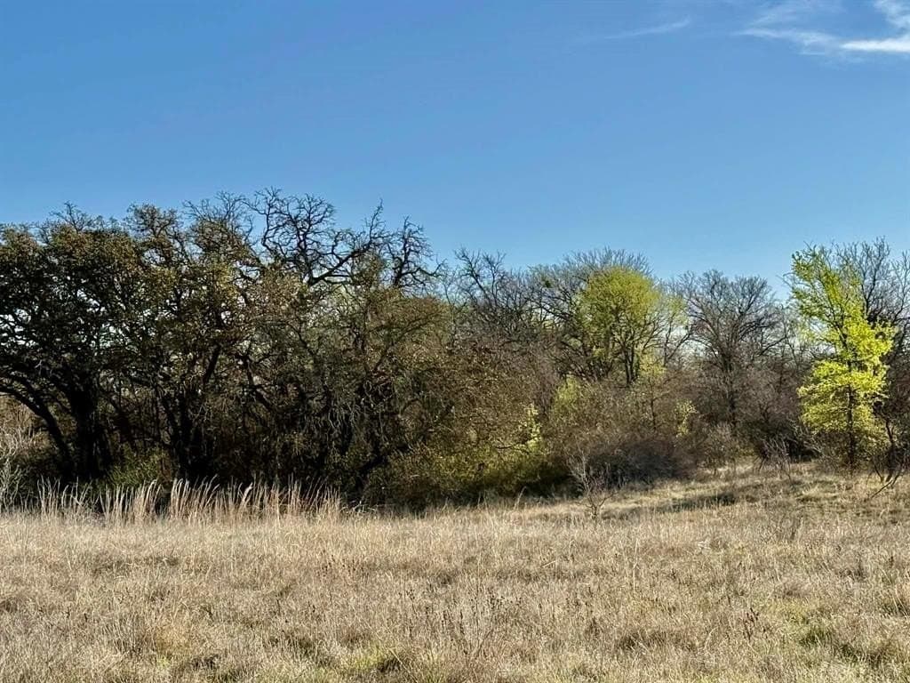 20.02 acres in Comanche County - photo 23