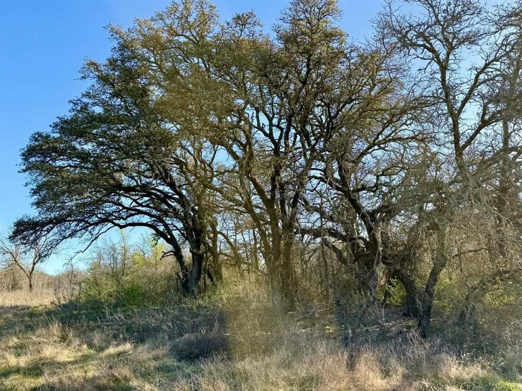 20.02 acres in Comanche County - photo 6