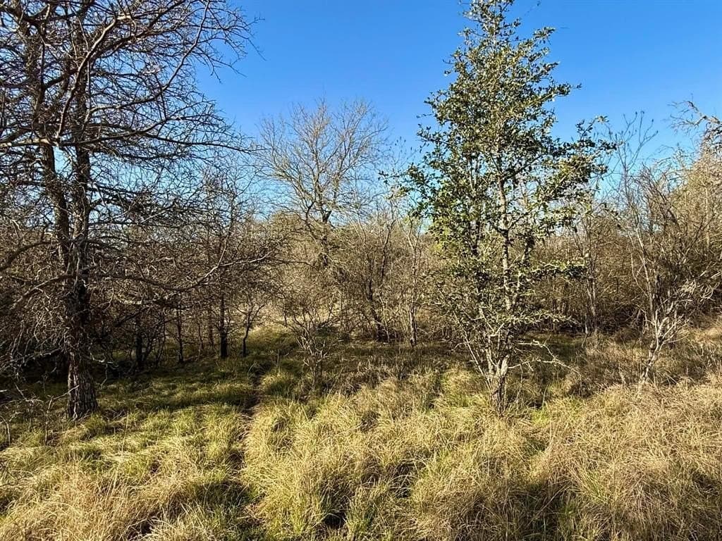 20.02 acres in Comanche County - photo 14