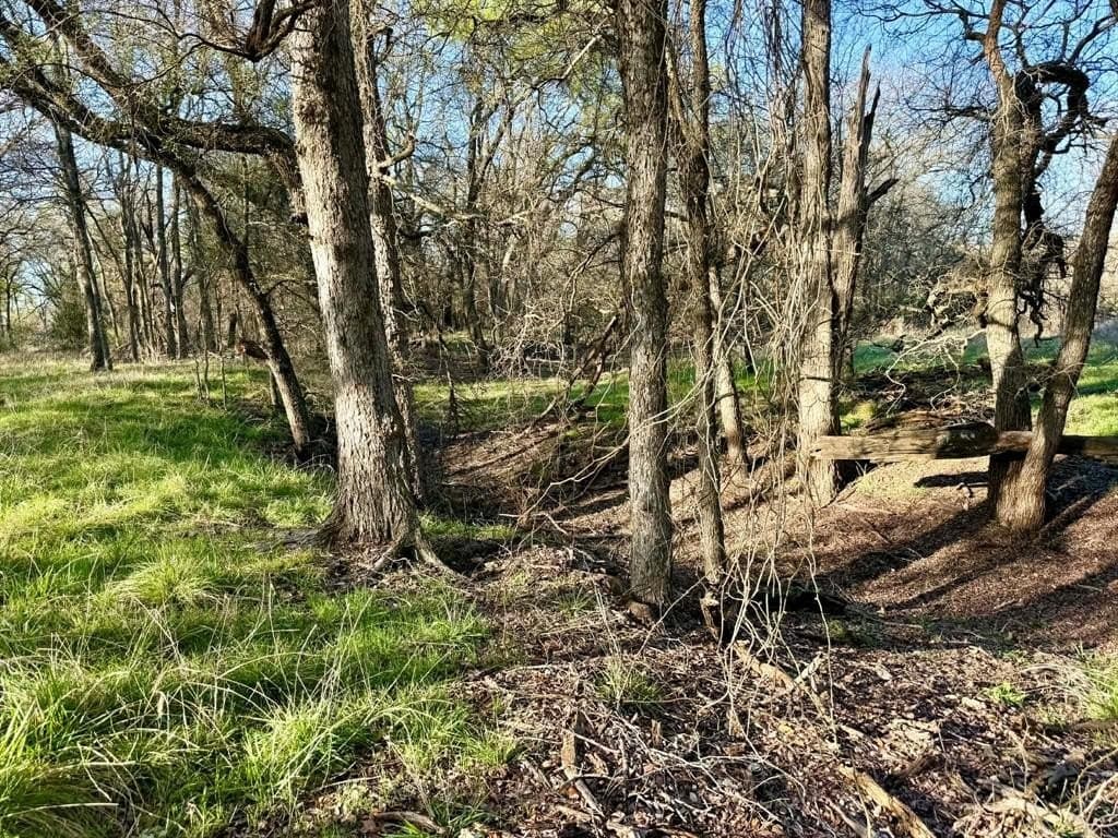 20.02 acres in Comanche County - photo 19