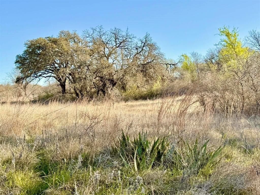 20.02 acres in Comanche County - photo 39