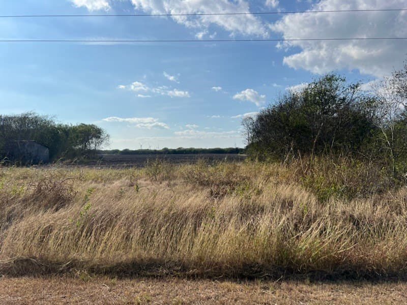 26.7 acres in San Patricio County - photo 2
