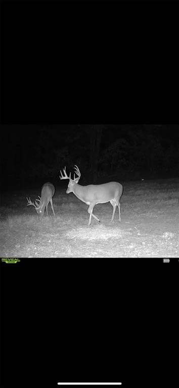 35.22 acres in Cass County - photo 14