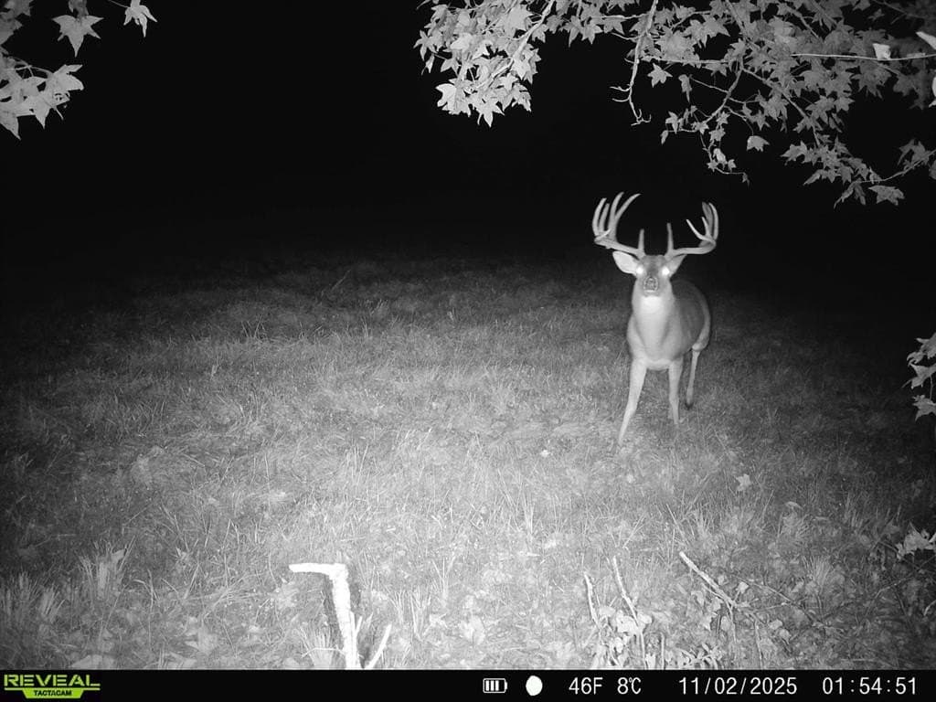 35.22 acres in Cass County - photo 23