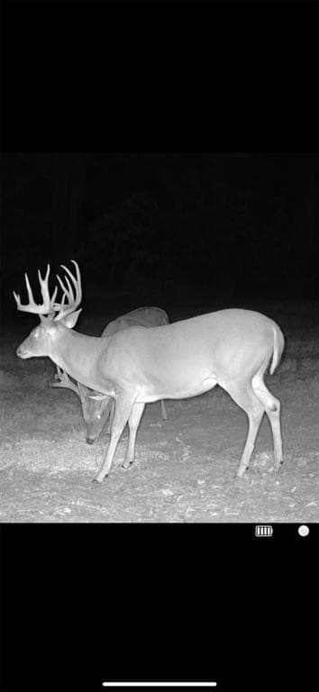 35.22 acres in Cass County - photo 17
