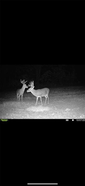 35.22 acres in Cass County - photo 18