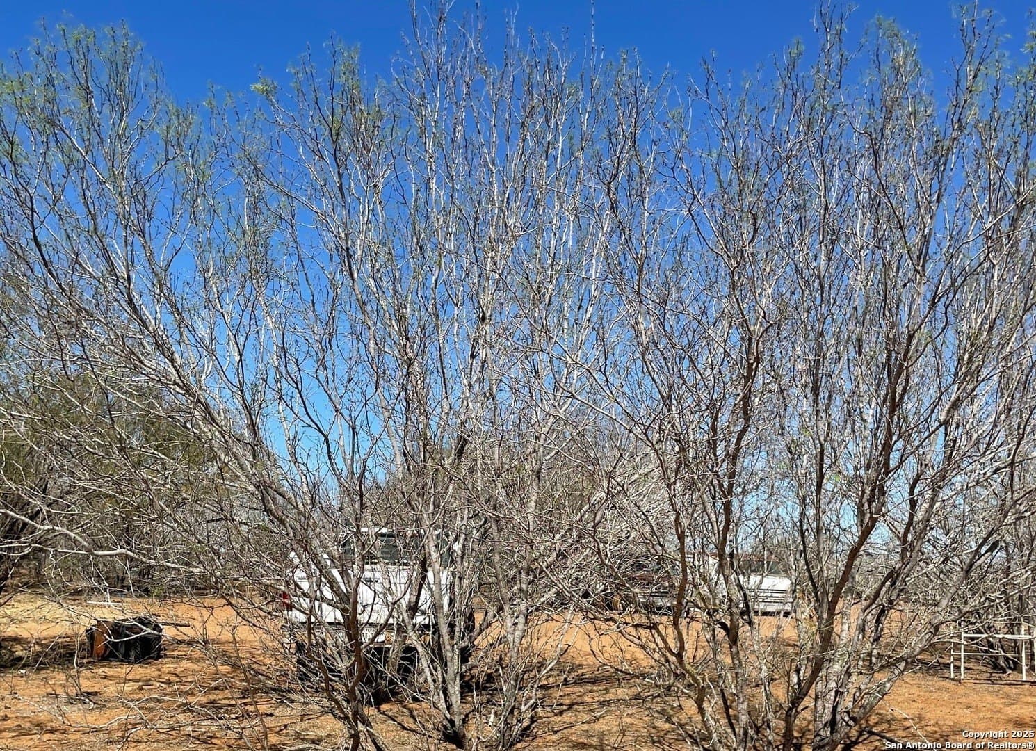 14.76 acres in Atascosa County - photo 4