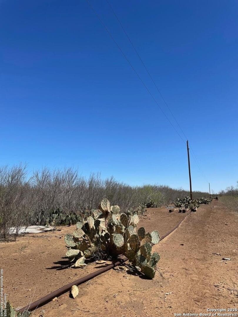 14.76 acres in Atascosa County - photo 11