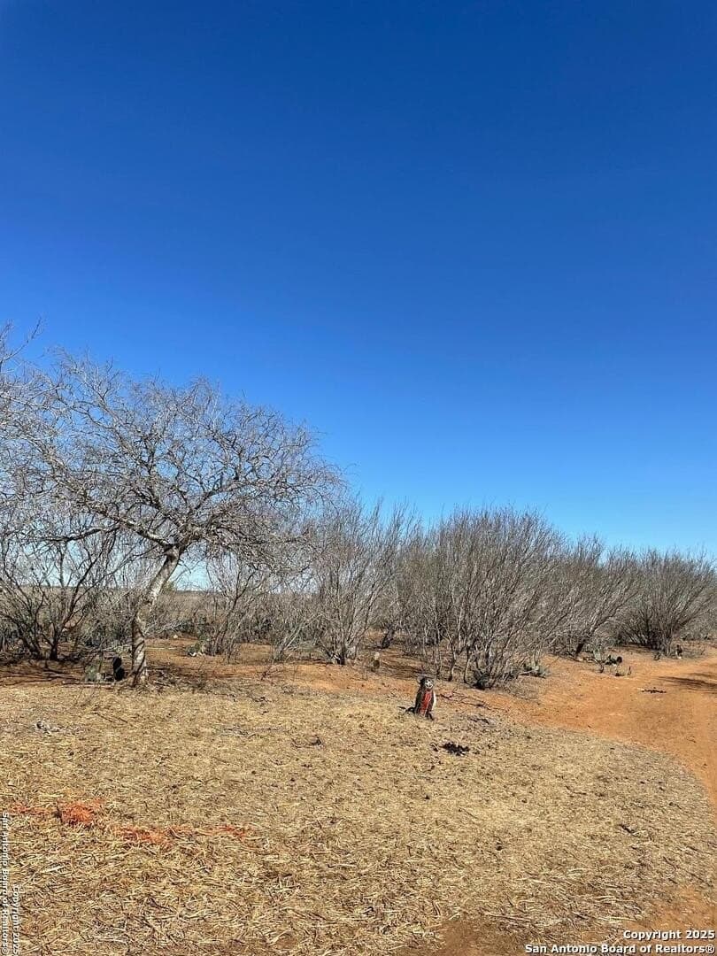 14.76 acres in Atascosa County - photo 2