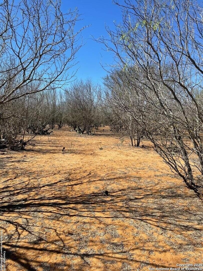 14.76 acres in Atascosa County - photo 5