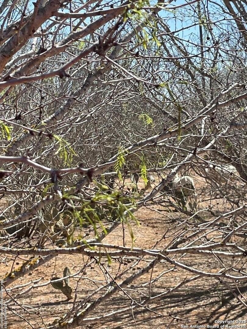 14.76 acres in Atascosa County - photo 14