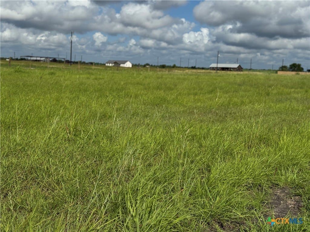 10.01 acres in Guadalupe County - photo 17
