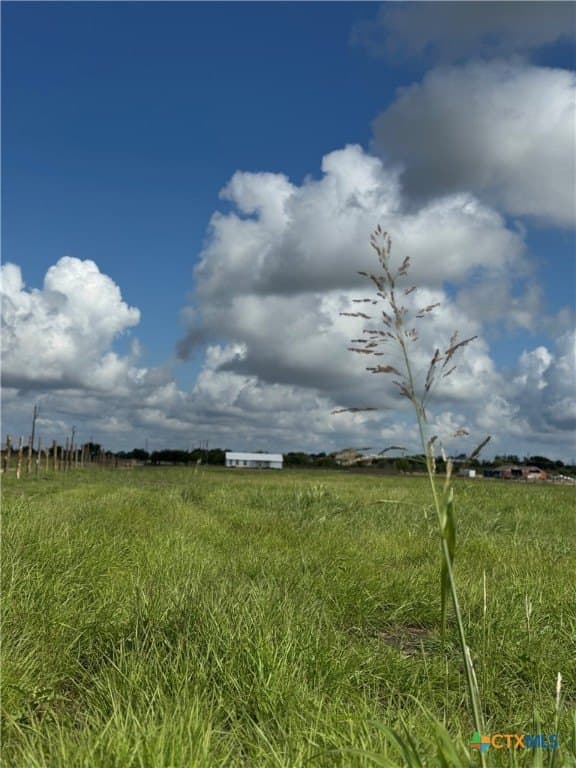 10.01 acres in Guadalupe County - photo 14