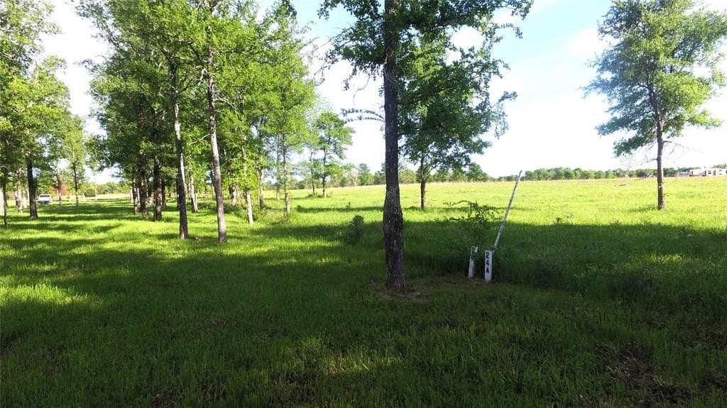 1.02 acres in Rains County - photo 9