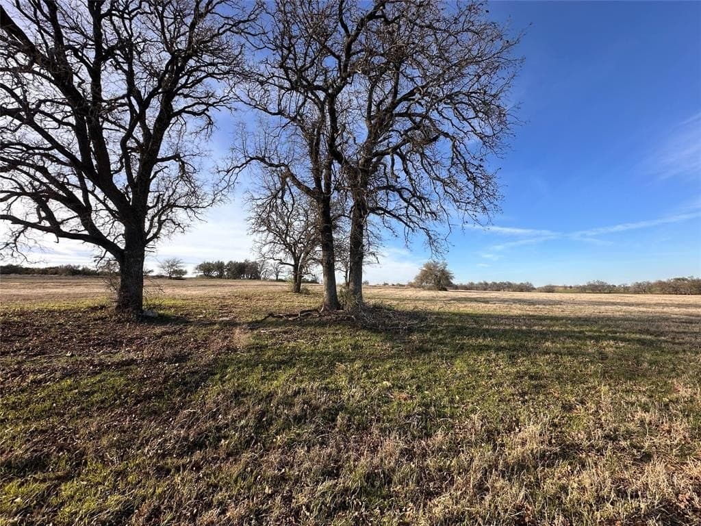 113.92 acres in Erath County - photo 4