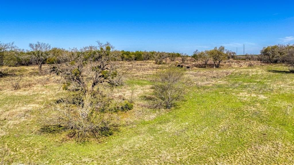 113.92 acres in Erath County - photo 26