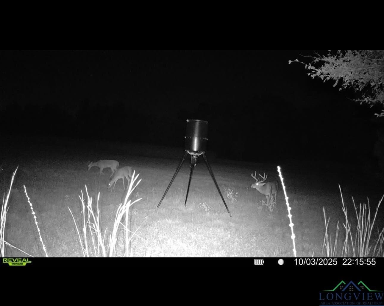 10 acres in Harrison County - photo 50