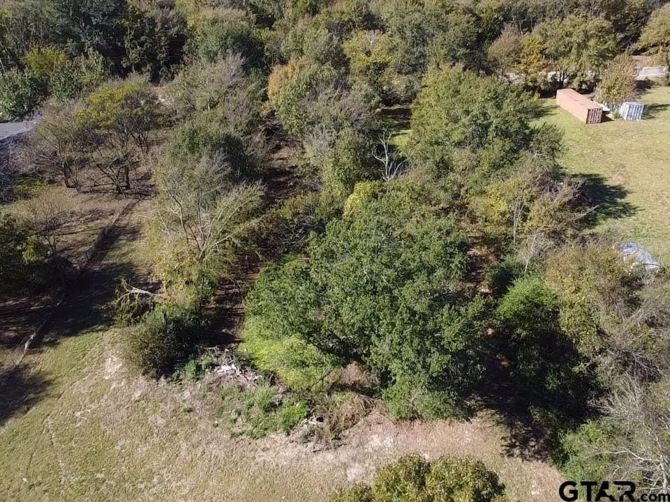 1.3 acres in Wood County - photo 17