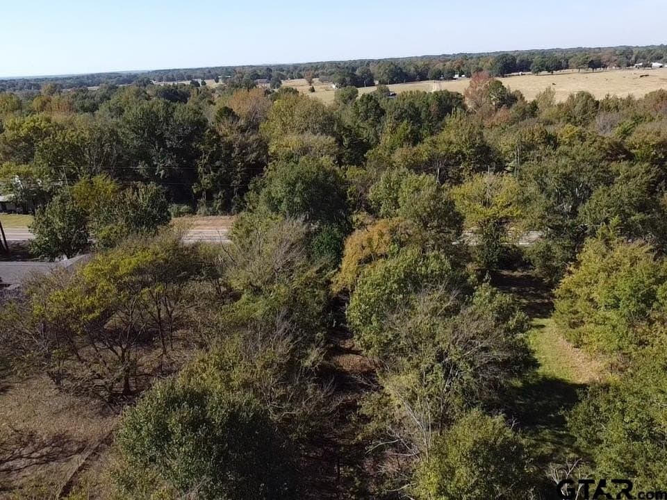 1.3 acres in Wood County - photo 21