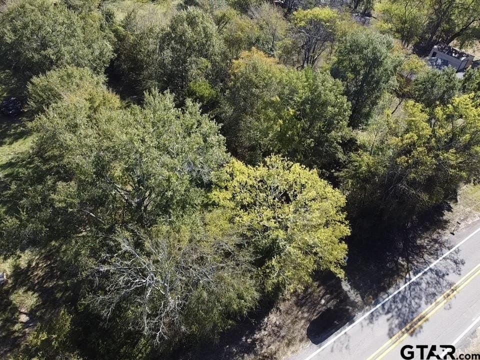 1.3 acres in Wood County - photo 6