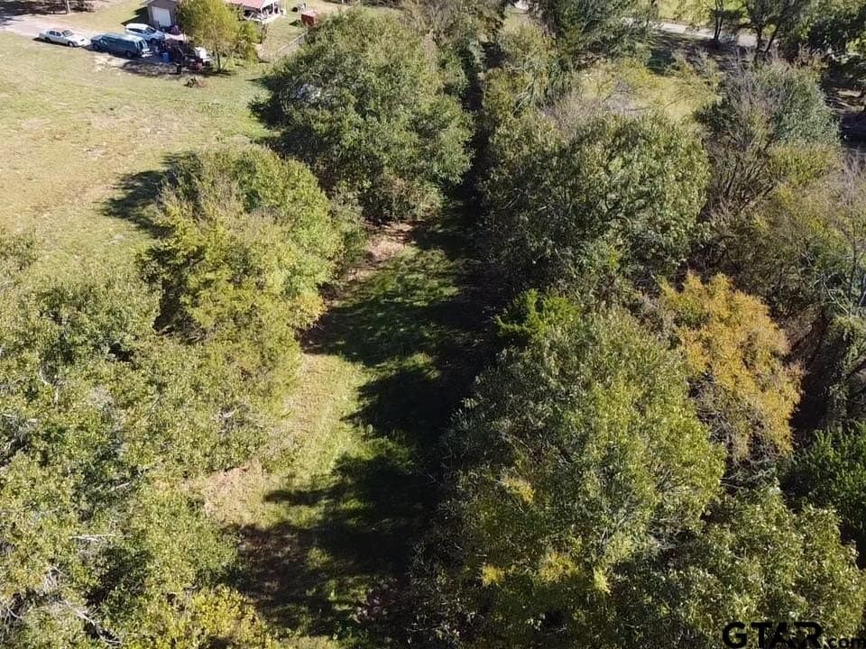 1.3 acres in Wood County - photo 14