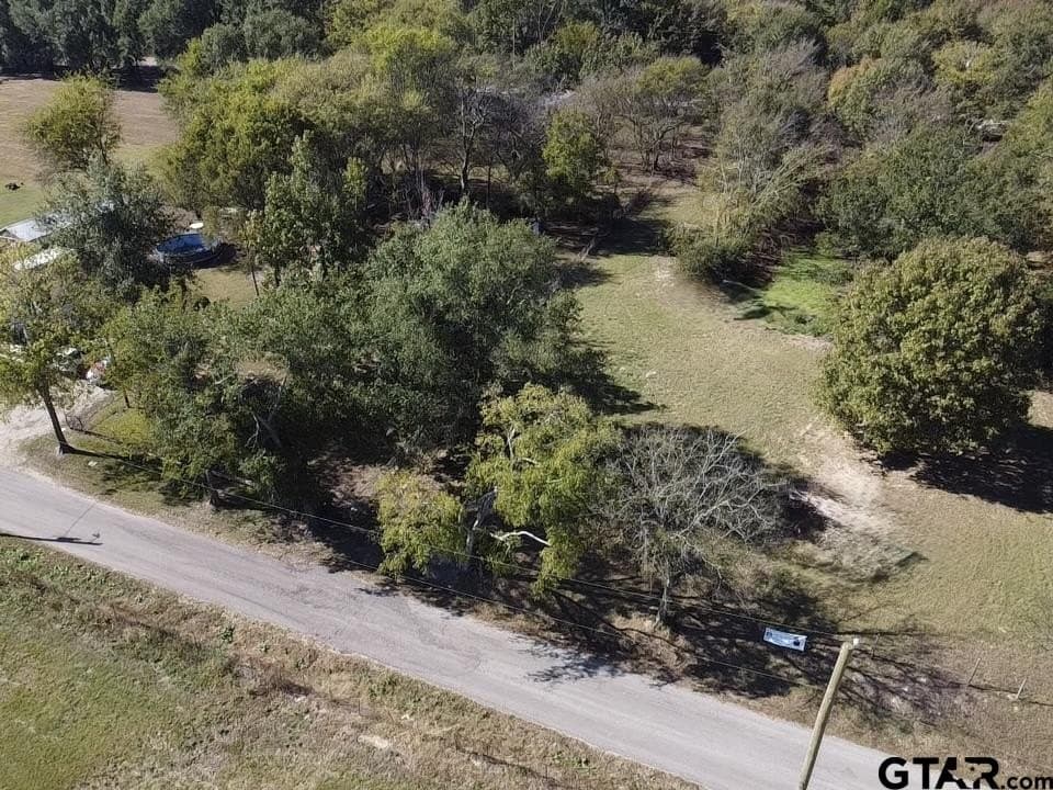 1.3 acres in Wood County - photo 18