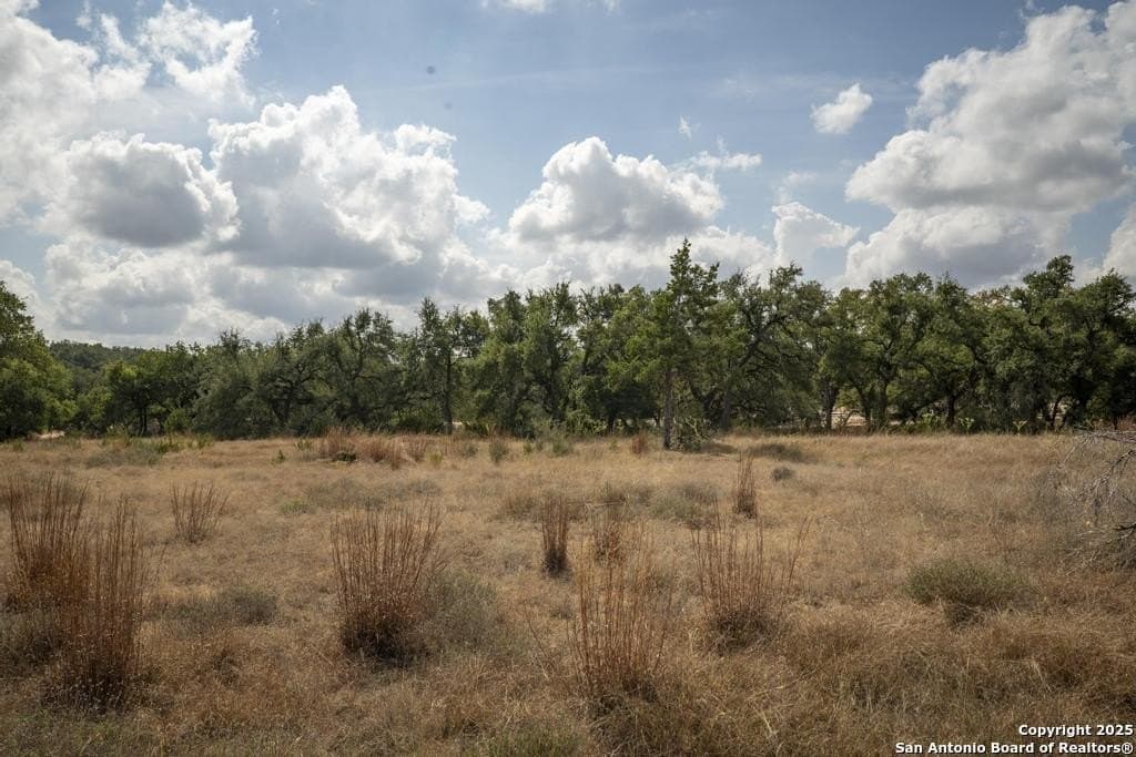 5 acres in Comal County - photo 33