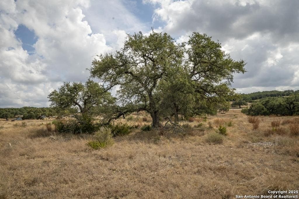 5 acres in Comal County - photo 30
