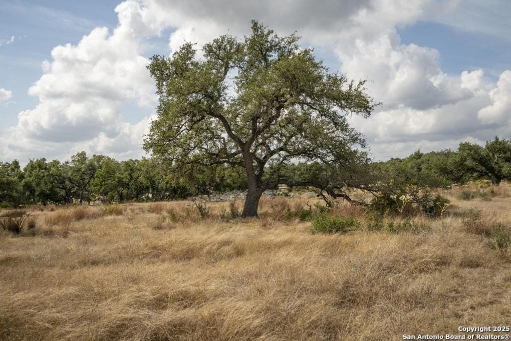 5 acres in Comal County - photo 25