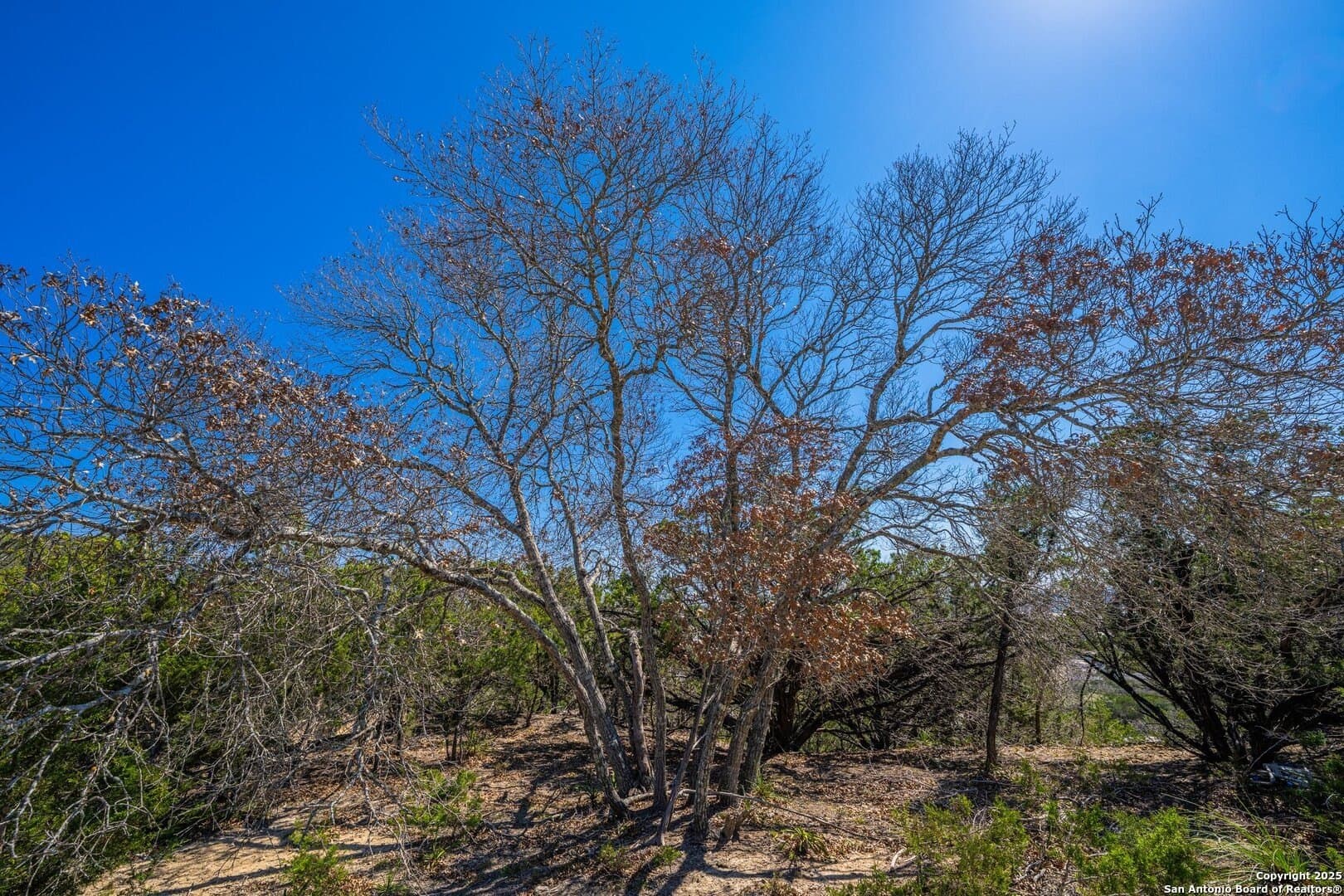 37.88 acres in Kerr County - photo 15