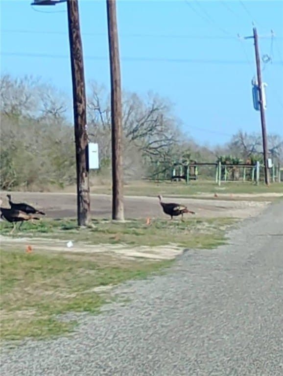 10.76 acres in Live Oak County - photo 10