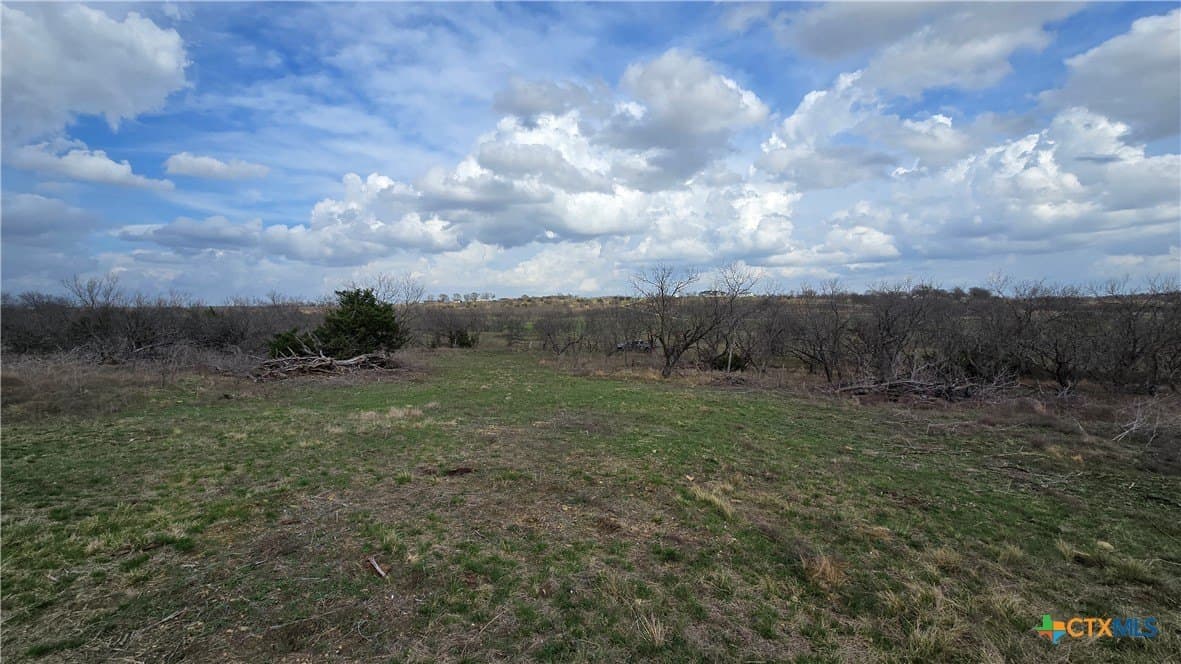 113.25 acres in McLennan County - photo 11