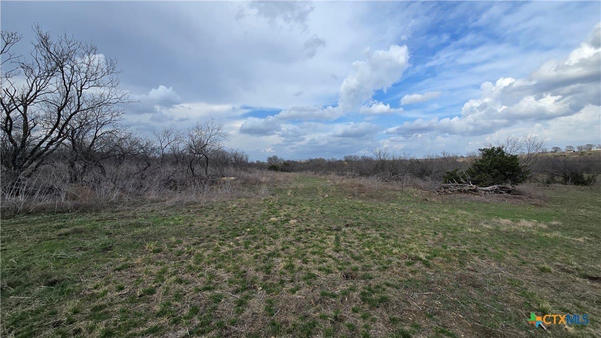 113.25 acres in McLennan County - photo 10