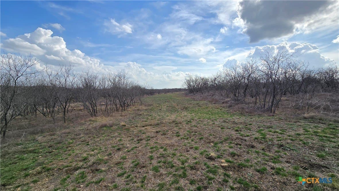 113.25 acres in McLennan County - photo 13