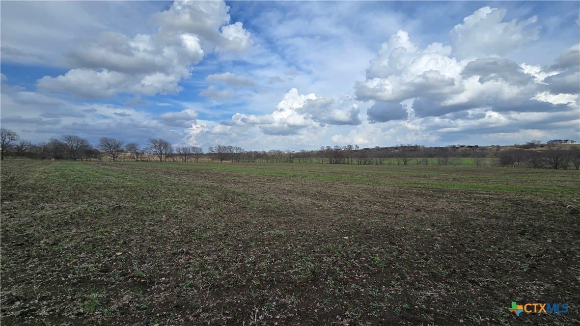 113.25 acres in McLennan County - photo 12