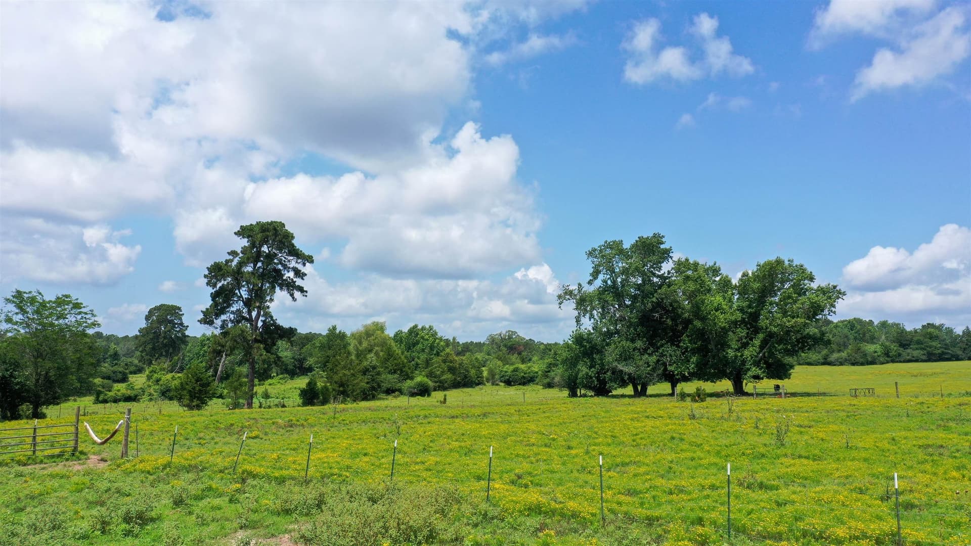 155.5 acres in Cass County - photo 21