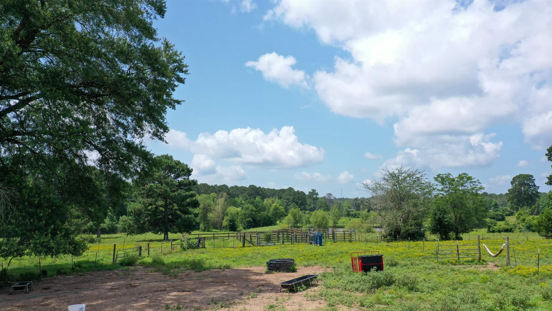 155.5 acres in Cass County - photo 10