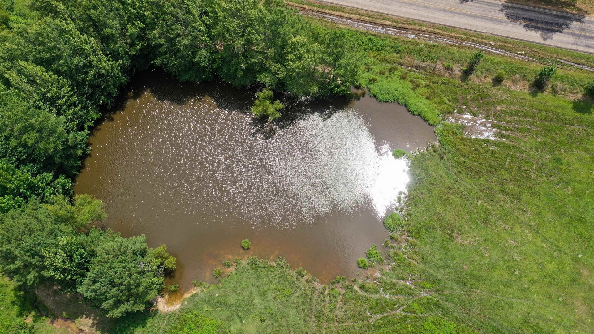 155.5 acres in Cass County - photo 15