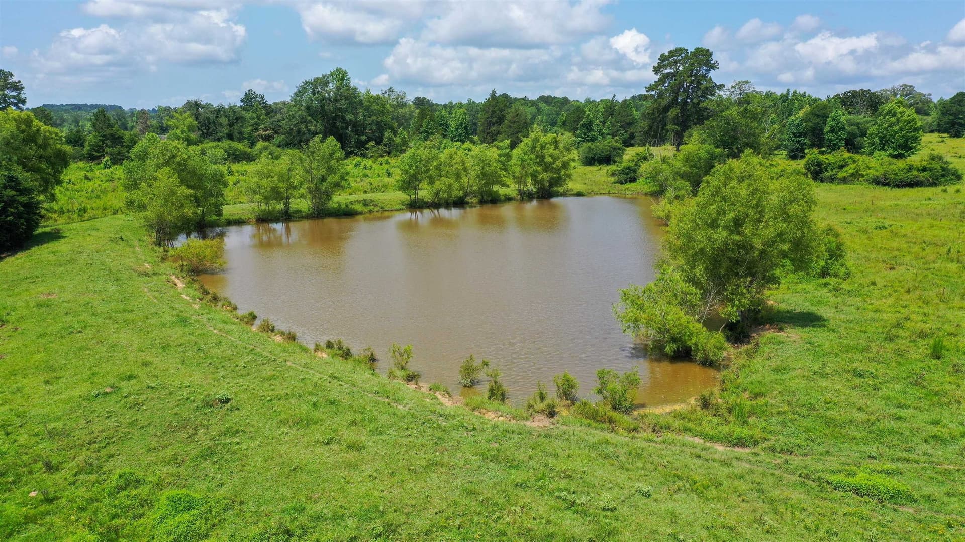 155.5 acres in Cass County - photo 13