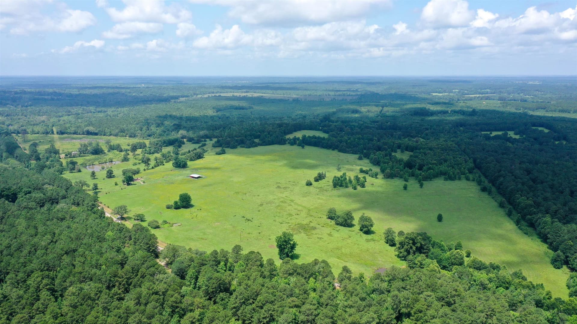 155.5 acres in Cass County - photo 25